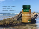 na-trition-fucoidan-natural-organic-anti-3.jpg