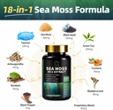 sea-moss-and-shilajit-capsules-for-men-w-4.jpg