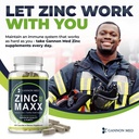 zinc-maxx-100-capsules-zinc-gluconate-im-5.jpg