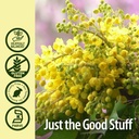 natures-answer-oregon-grape-root-with-lo-5.jpg