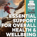 2625mg-irish-sea-moss-supplement-120-cap-5.jpg
