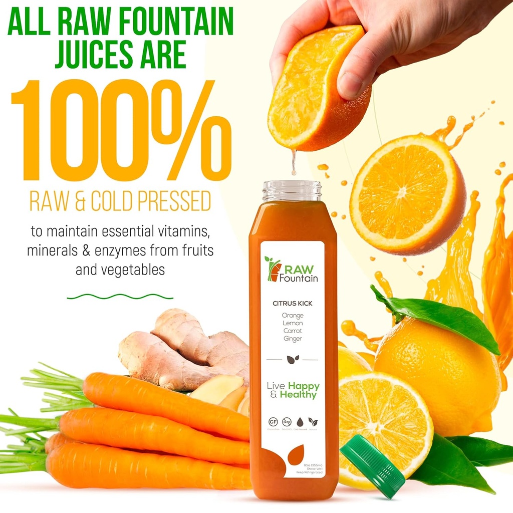 1-day-juice-cleanse-by-raw-fountain-all--3.jpg