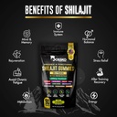 3200-mg-pure-himalayan-shilajit-gummies--6.jpg