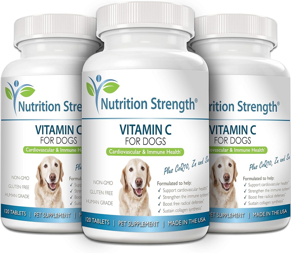 vitamin-c-for-dogs-to-support-cardiovasc-4.jpg