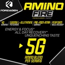 forzagen-amino-fire-essential-amino-ener-4.jpg