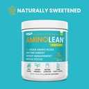rsp-vegan-aminolean-all-in-one-natural-p-2.jpg