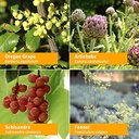 herb-pharm-liver-health-herbal-formula-f-5.jpg