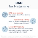 designs-for-health-histagest-dao-diamine-3.jpg