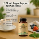 blood-sugar-support-supplement-with-cinn-6.jpg