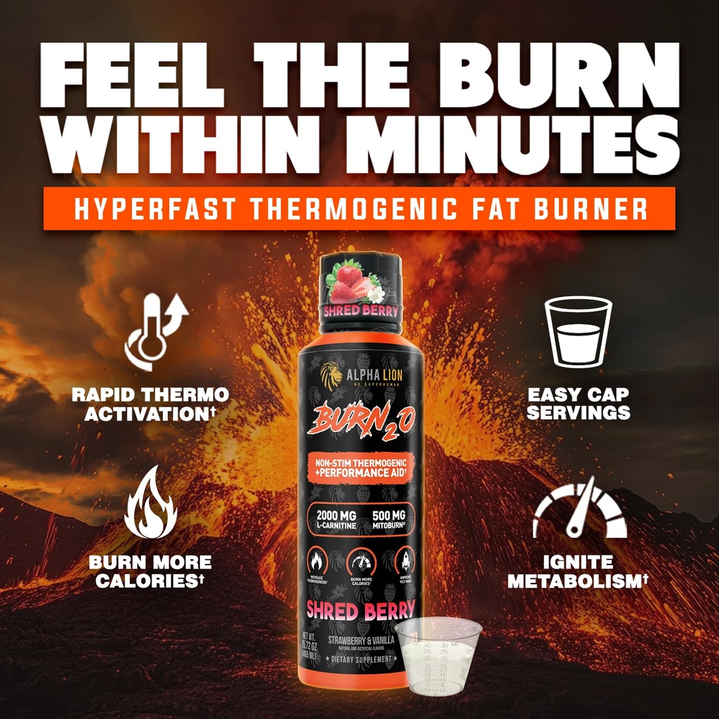 alpha-lion-burn2o-l-carnitine-liquid-200-2.jpg