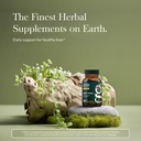 gaia-herbs-milk-thistle-liver-supplement-2.jpg
