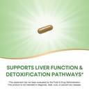 nature-s-way-milk-thistle-supports-liver-4.jpg