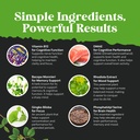 nootropic-memory-supplement-for-brain-su-6.jpg