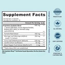 bb-company-provitalize-probiotics-for-wo-4.jpg