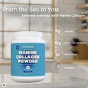 zen-principle-marine-collagen-peptides-p-5.jpg