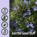 natures-answer-rosemary-leaf-extract-sup-5.jpg