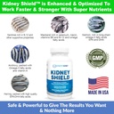 kidney-restore-kidney-shield-2-pack-bund-5.jpg