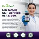 forestleaf-glucosamine-chondroitin-msm-j-6.jpg