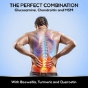 intelligent-labs-glucosamine-and-chondro-5.jpg