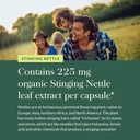 gaia-herbs-stinging-nettle-leaf---respir-5.jpg