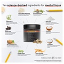 formulation-factory-10-in-1-nootropic-br-4.jpg