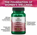 swanson-ovarian-glandular---natural-supp-5.jpg