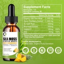 sea-moss-drops-2000mg-irish-sea-moss-sup-4.jpg