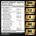probiotics-for-men-500-billion-cfu-16-in-2.jpg