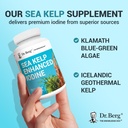 dr-berg-sea-kelp-enhanced-iodine-200-mcg-6.jpg