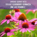 garden-of-life-organics-elderberry-immun-6.jpg
