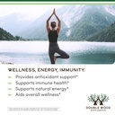 blue-spirulina-powder-maximum-35-phycocy-3.jpg