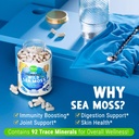 maju-4-in-1-organic-sea-moss-capsules-wi-3.jpg