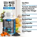silicon-sea-moss-black-seed-oil-ashwagan-3.jpg