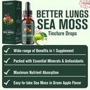 betterbrand-sea-moss-drops-liquid-supple-2.jpg