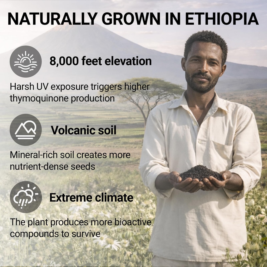 ethiopian-black-seed-oil-capsules-organi-4.jpg