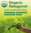 usda-organic-fenugreek-capsules-for-wome-4.jpg