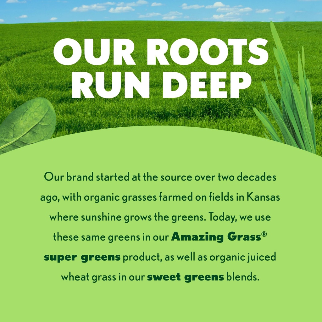 amazing-grass-greens-superfood-antioxida-5.jpg