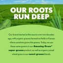 amazing-grass-greens-superfood-antioxida-5.jpg