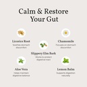 terra-health-essentials-acid-relief-plan-4.jpg