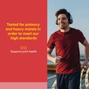natural-factors-glucosamine-sulfate-supp-2.jpg