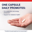 metagenics-l-carnitine-amino-acid-supple-2.jpg