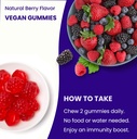 nutrachamps-elderberry-gummies-with-vita-4.jpg