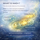 nmn-l-glutathione-supplement-nad-support-3.jpg