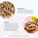 youtheory-saffron-mood-emotional-balance-6.jpg