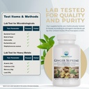 natures-lab-ginger-supreme---ginger-extr-4.jpg