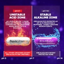 efx-sports-kre-alkalyn-efx-ph-correct-cr-4.jpg