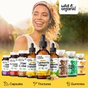 wild-organic-turmeric-and-ginger-supplem-5.jpg