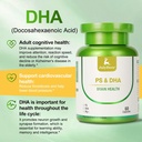 magnesium-l-threonate--100mg-dha-100mg-p-4.jpg