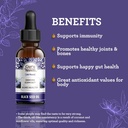 gurunanda-black-seed-oil-5000-iu-vitamin-2.jpg