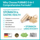 5-in-1-high-potency-h-pylori-probiotic-1-5.jpg